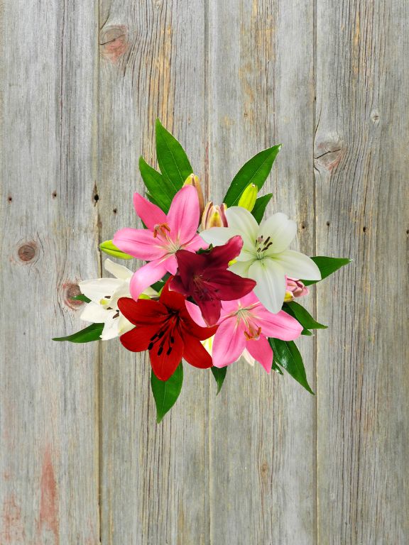 TRUE LOVE MIXED BOUQUET - 6 STEM